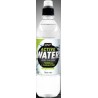 ACTIVE WATER 500 мл