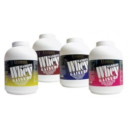Massive Whey Gainer 4250 г