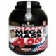 Megamass 4000 3000г