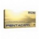Pentacarn 108 капс