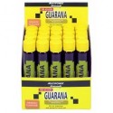 Professional Guarana ampules 20 x 25 мл - апельсин