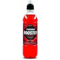 THERMO BOOSTER 500 мл