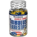Tribulus Terrestris - 240 капс