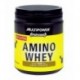 Amino WHEY FAST ACTING 300 таб