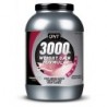 Weight Gain Formula 3000 (1300 г)