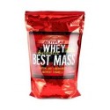 Whey Best Mass 1000g