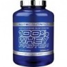100% Whey Protein 2350 г