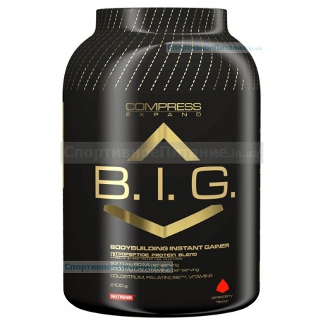 Compress B.I.G. 2100 г
