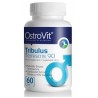 Tribulus Terrestris 90 60 таб