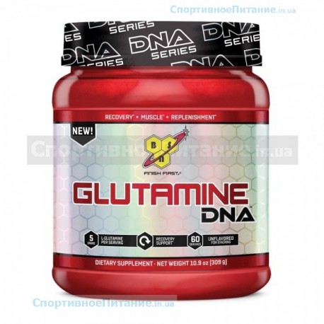 Glutamine DNA 309 г