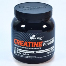 Creatine Monohydrate Powder 550 г