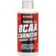 BCAA+CARNITIN+L-Arginine 1000мл