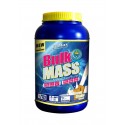 FM Bulk Mass 2.8кг