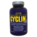 CICLYN-GF 120капс