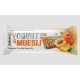 Yogurt & Muesli 30 г