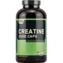 Creatine 2500 Caps 300 капс