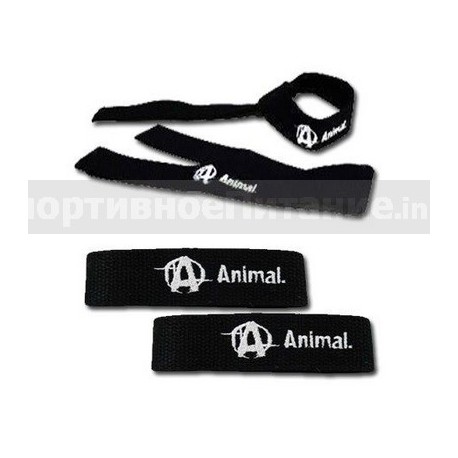 Animal Lifting Straps