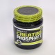 Creatine Phosphate 300 грамм