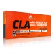CLA & Green Tea plus L-Carnitine 60 капс