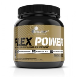 Flex Power 504 г