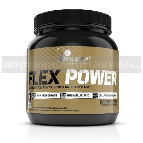 Flex Power 504 г