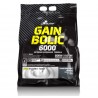 Gain bolic 6000 6800 г