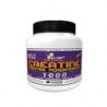 Creatine 1000 400капс
