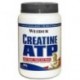 Creatine ATP 640г