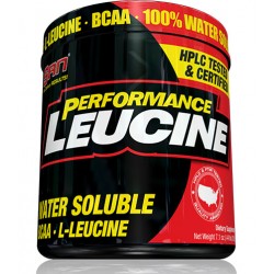 Performance Leucine 200 г