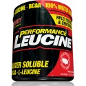 Performance Leucine 200 г