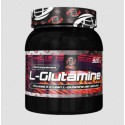 L - Glutamine Power 500 г