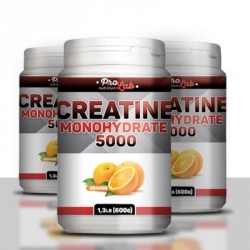 Creatine Monohydrate 5000 600 г