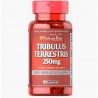 Tribulus Terrestris 250 mg 90 капс