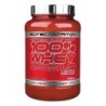 100% Whey Protein Professional LS 920 г