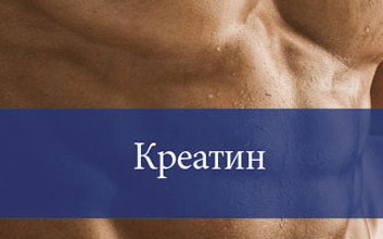 Причини того, чому креатин може не діяти