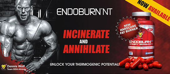 EndoBurn 100 капс