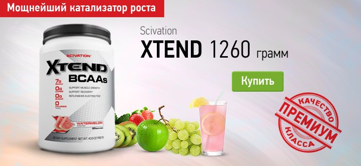 Xtend 1188 грамм 90 порций