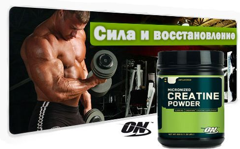Micronized Creatine Powder 1200 грамм