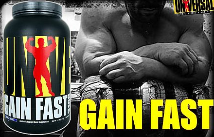 Gain Fast 3100 2.3 кг