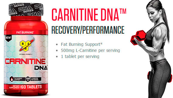Carnitine DNA 60 таб