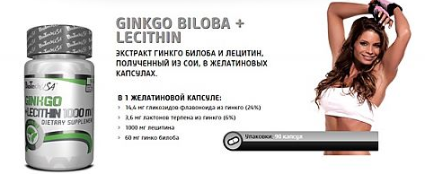 Ginkgo Biloba + Lecithin 1000 mg 90 капс