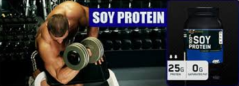 100% Soy Protein 909