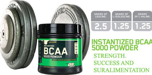 BCAA 5000 Powder 380 г (40 порц)