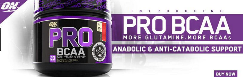 PRO BCAA Glutamine Support 390 г
