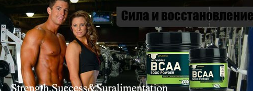 BCAA 5000 Powder 336 г (60 порц)
