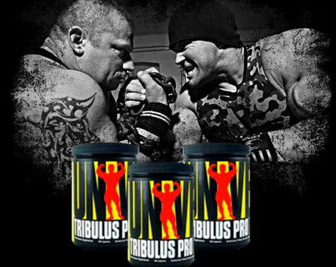 Tribulus Pro 100 капсул