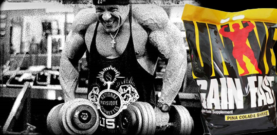Gain Fast 3100 4.55 кг пакет