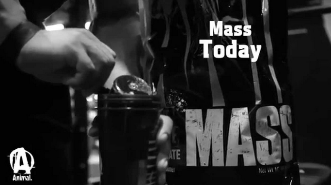 Animal Mass 2.3 кг