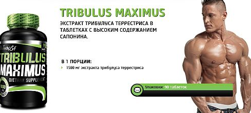 Tribulus Maximus 90 таб