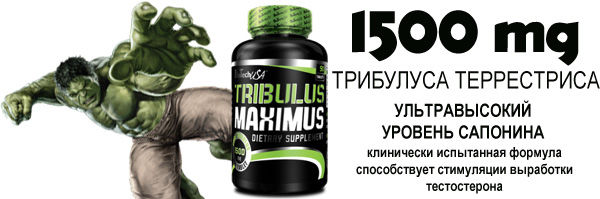 Tribulus Maximus 90 таб